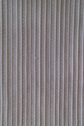 photo13.jpg