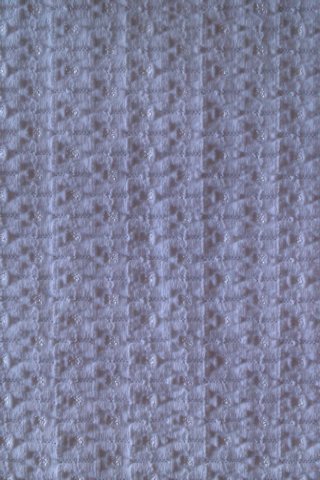 photo15.jpg