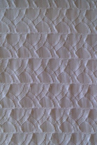 photo42.jpg