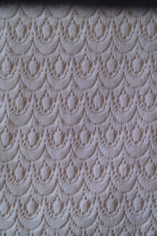 photo7.jpg